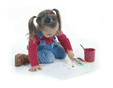 Pintando