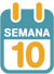 La 10ª semana de embarazo
