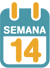 La 14ª semana de embarazo