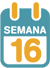 La 16ª semana de embarazo