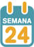 La 24ª semana de embarazo