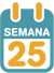 La 25ª semana de embarazo