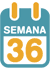 La 36ª semana de embarazo