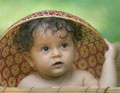 Niño