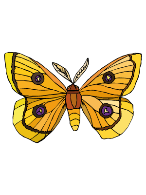 Colorea dibujos de mariposas - Mariposa en escabeche