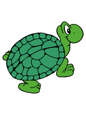 Colorea dibujos de mascotas - Tortuga copiota