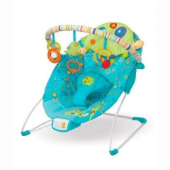Hamaquita Teensy Turtle de Bright Starts 
