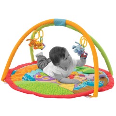Gimnasio Noah's Ark de Playgro