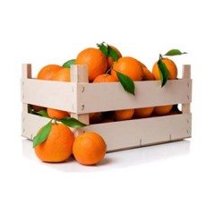 Caja de naranjas de zumo y mesa de 9,5 kg de Comefruta