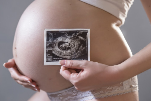 ¿Qué es lo primero que se desarrolla en un feto?