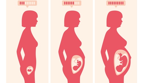 Crecimiento de la barriga a lo largo del embarazo, mes a mes