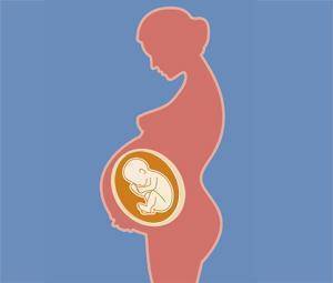 Ecografía del tercer trimestre de embarazo