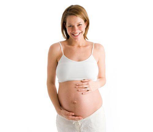 ¿Cómo se ven afectados los órganos durante el embarazo?