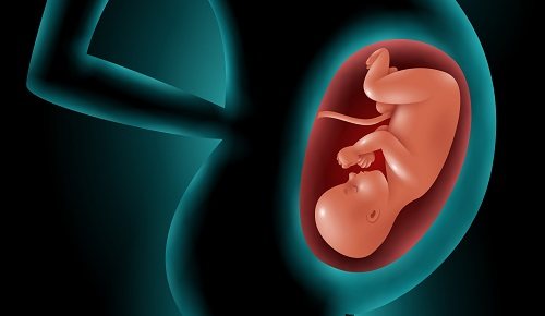 ¿Por qué el feto ingiere líquido amniótico? 