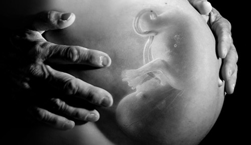Longitud del fémur en el feto