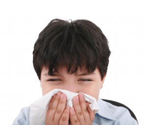 Síntomas de la alergia