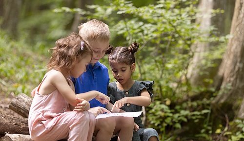 ¿Qué es la metodología bosque escuela?