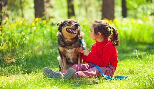 ¿Cómo puede afectar a un niño la muerte de su mascota?