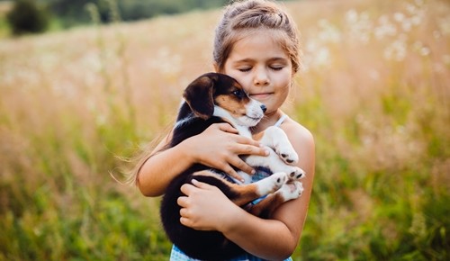 ¿Qué decirle a un niño cuando llora su mascota?