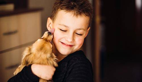 Los niños que crecen con mascotas tienen más inteligencia emocional y compasión