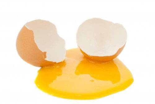 Sustitutivos del huevo en la alimentación complementaria