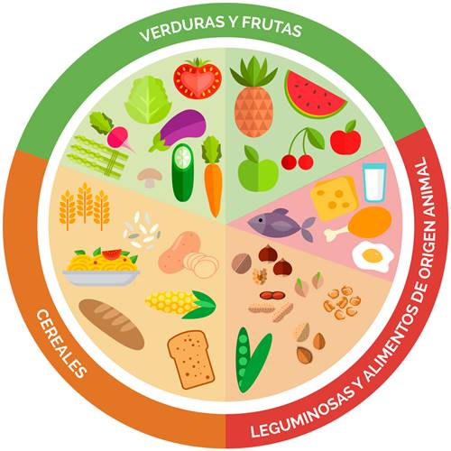 El Plato Del Buen Comer Para Ninos Todopapas