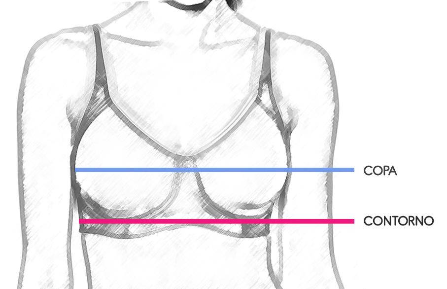 Sujetadores de lactancia: calcular la talla correcta- TodoPapás