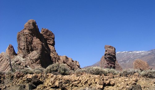 ¿Qué hacer con niños en Tenerife Sur?