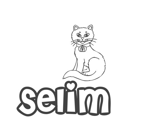 Nombre de Niña Selimá, significado