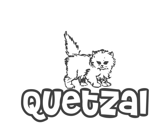Nombre De Nina Quetzal Significado Origen Y Pronunciacion