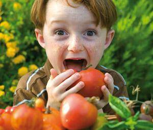 La alimentación del niño a partir de los 4 años