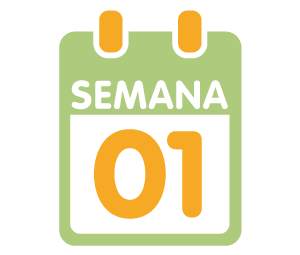 La 1ª semana de embarazo