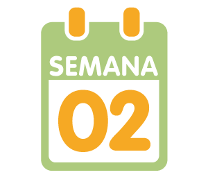 La 2ª semana de embarazo