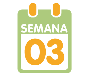 La 3ª semana de embarazo