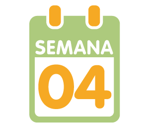 La 4ª semana de embarazo