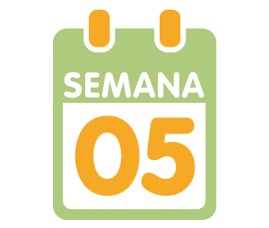 La 5ª semana de embarazo