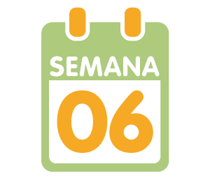 La 6ª semana de embarazo