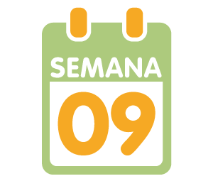 La 9ª semana de embarazo