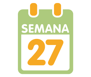 La 27ª semana de embarazo