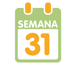 La 31ª semana de embarazo