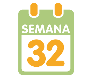 La 32ª semana de embarazo