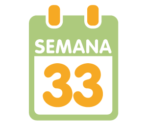 La 33ª semana de embarazo