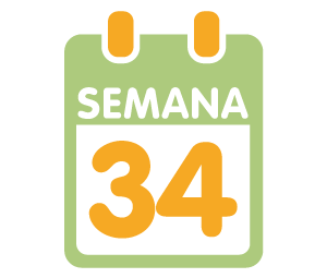 La 34ª semana de embarazo