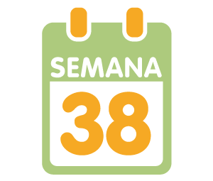 La 38ª semana de embarazo