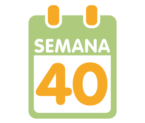 La 40ª semana de embarazo