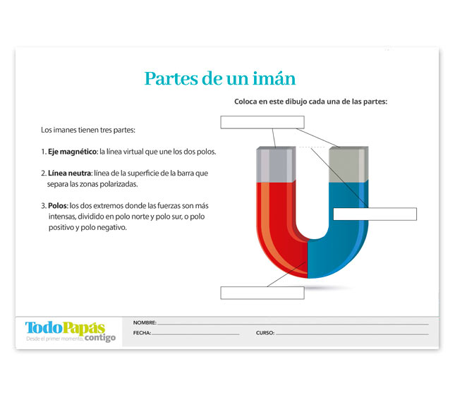El Iman Y Sus Partes Para Colorear Jinda Olm