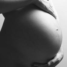 ¿qué es la placenta? ¿cuáles son sus funciones principales?