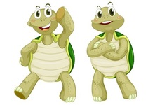 ¿Qué es la técnica de la tortuga y cómo aplicarla correctamente?