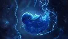 Pequeñas partículas de la placenta pueden identificar antes a los fetos en riesgo de crecimiento restringido