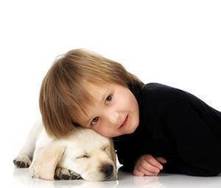 ¿Qué mascota es la adecuada para tu familia?
